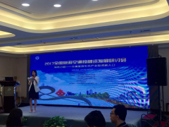 林峰博士受邀参加2017全国旅游交通投融资发展研